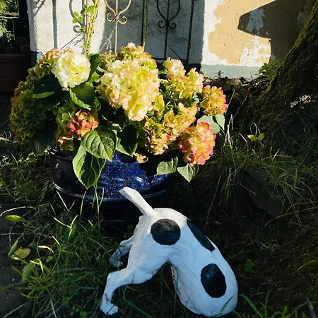 Daire Traumhafte Auszeit Direkt Am Nuerburgring