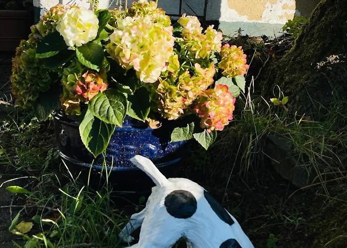 Apartamento Traumhafte Auszeit Direkt Am Nuerburgring