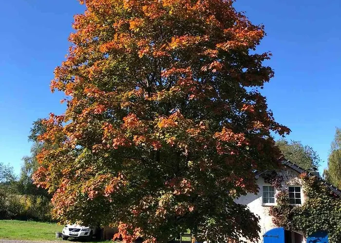 Traumhafte Auszeit Direkt Am Nuerburgring Kelberg