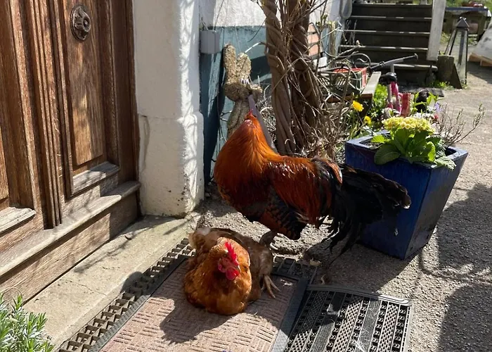 Apartamento Traumhafte Auszeit Direkt Am Nuerburgring